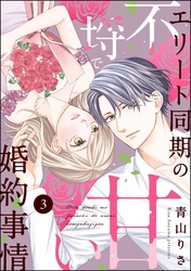 エリート同期の不埒で甘い婚約事情（分冊版）　【第3話】