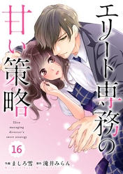 comic Berry’sエリート専務の甘い策略16巻