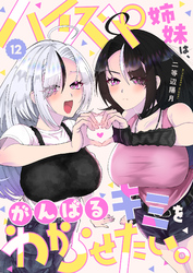 ハイスペ姉妹は、がんばるキミをわからせたい。(12)