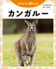 カンガルー