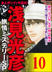 浅見光彦ミステリーSP（分冊版）　【第10話】