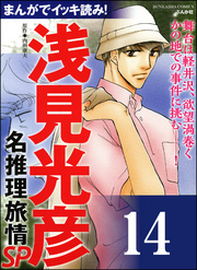 浅見光彦ミステリーSP（分冊版）　【第14話】