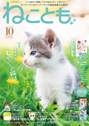 ねことも vol.81