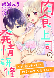 肉食上司の発情研修 ～火照った体に仕込んでください～（分冊版）　【第3話】