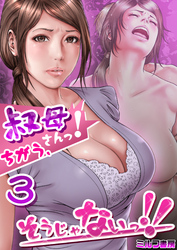 叔母さんっ！ちがう、そうじゃないっ！！　3巻