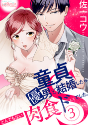 童貞優男と結婚したら、とんでもない肉食ドSでした。 3