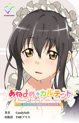 あねよめカルテット 第2巻 キャリアウーマンな姉と引きこもりメイド姉【フルカラー】