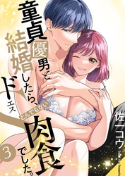 童貞優男と結婚したら、とんでもない肉食ドSでした。【描き下ろしおまけ付き特装版】 3
