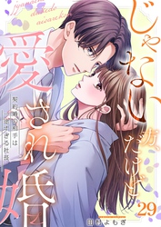 じゃない方、だけど愛され婚～契約婚の相手は一途すぎる社長２９