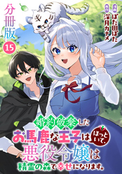 婚約破棄したお馬鹿な王子はほっといて、悪役令嬢は精霊の森で幸せになります。【分冊版】15