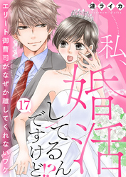 私、婚活してるんですけど！？～エリート御曹司がなぜか離してくれないワケ～17