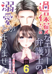 過保護なエリート弁護士の溺愛がとまりません【分冊版】6話