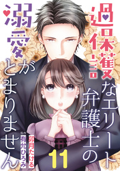 過保護なエリート弁護士の溺愛がとまりません【分冊版】11話