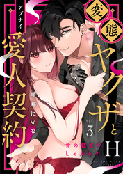 変態ヤクザとアブナイ愛人契約～骨の髄までしゃぶられＨ～（3）