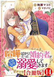 喧嘩ばかりだった婚約者がいきなり溺愛してきます【合冊版】14