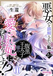悪女（と誤解される私）が腹黒王太子様の愛され妃になりそうです！？１１