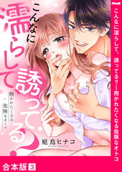 こんなに濡らして、誘ってる？～抱かれたくなる危険なオトコ【合本版】３