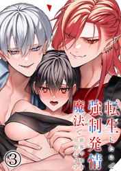 転生したので強制発情魔法で世界平和を目指します3