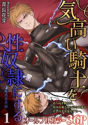 気高い騎士を性奴隷にする（棒消し版）