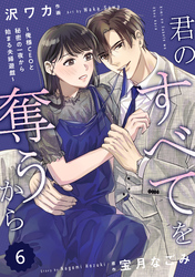 comic Berry’s君のすべてを奪うから～俺様CEOと秘密の一夜から始まる夫婦遊戯～6巻