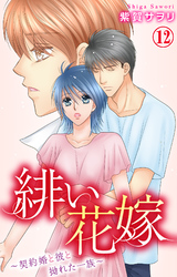 緋い花嫁～契約婚と彼と拗れた一族～ 12