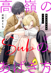 高嶺のSubのあばき方～君の心をとかすコマンド～6