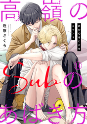 高嶺のSubのあばき方～君の心をとかすコマンド～14