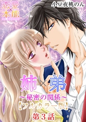 姉×弟～秘密の関係～【フルカラー版】 3