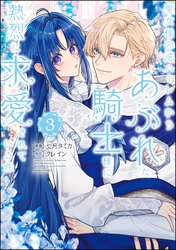 聖女様の逆ハーレムからあぶれた騎士様に熱烈に求愛されている件【かきおろし漫画付】　（3）