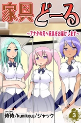 家具どーる～アナタの元へ玩具をお届けします～ 第3巻