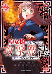 聖女様になりたいのに攻撃魔法しか使えないんですけど！？ THE COMIC 2