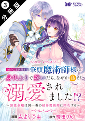 姉のことが好きな筆頭魔術師様に身代わりで嫁いだら、なぜか私が溺愛されました！？ ～無能令嬢は国一番の結界魔術師に開花する～（コミック） 分冊版 3