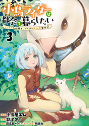小鳥ライダーは都会で暮らしたい モフモフな相棒と、のんびり異世界冒険記 連載版　第3話
