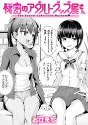 秘密のアダルトグッズ屋さん