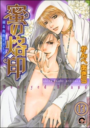 凍る灼熱（分冊版）　【第13話】