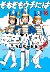そもそもウチには芝生がない 16