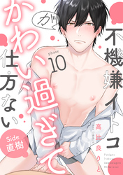 不機嫌イトコがかわい過ぎて仕方ない(10)　side直樹